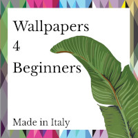 Wall paper for beginners