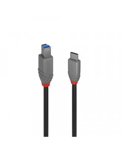 Lindy 36667 Cavo USB 3.2 Tipo C a B, 5Gbit/s, Anthra Line, 2m