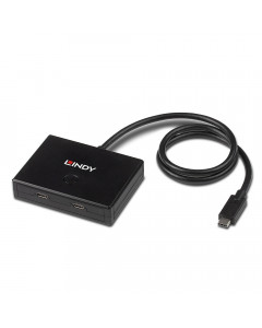 Lindy 43329 Switch bidirezionale USB 3.2 Gen 1 Tipo C, 2 porte