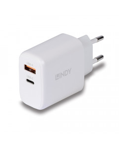 Lindy 73428 Alimentatore GaN USB Tipo A & C, 65W