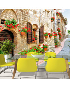 Artgeist Carta da parati Italian province