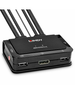 Lindy 42344 Switch KVM DisplayPort 1.2, USB 2.0 & Audio, 2 Porte