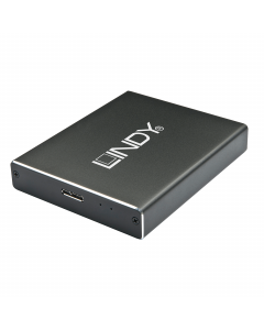 Lindy 43241 Box USB 3.1 Gen 2 per due SSD M.2, RAID