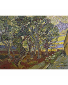 Niik quadro giardino dell'ospedale saint paul di vincent van gogh