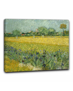 Niik quadro campo con iris fuori arles di vincent van gogh