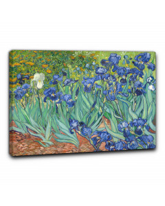 Niik quadro gli iris di vincent van gogh