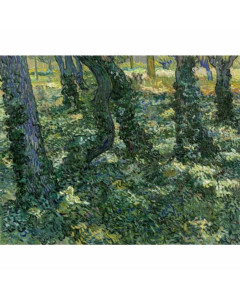 Niik quadro sottobosco di vincent van gogh