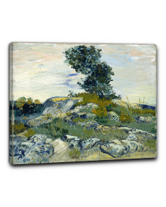Niik quadro arles le rocce di vincent van gogh