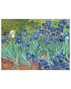 Niik stampa su tela van gogh iris 60x44x1,7cm canvas quadro