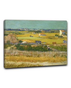Niik quadro la vendemmia di vincent van gogh
