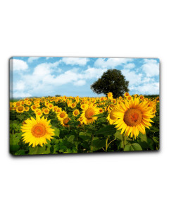Niik quadro campo di girasoli 3