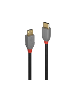 Lindy 36891 Cavo USB 2.0 Tipo C a Micro-B Anthra Line, 1m