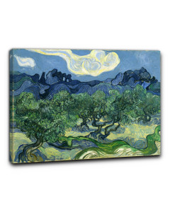 Niik quadro gli ulivi di vincent van gogh