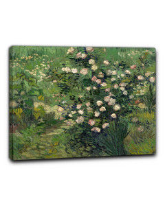 Niik quadro le rose di vincent van gogh
