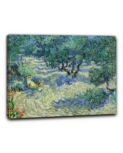 Niik quadro uliveto in provenza di vincent van gogh