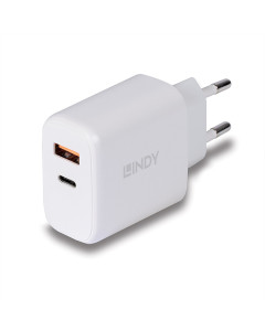 Lindy 73424 Alimentatore USB Tipo A & C, 30W