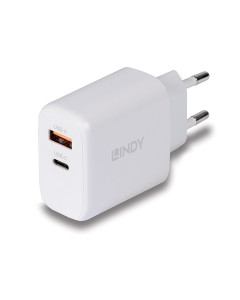 Lindy 73428 Alimentatore GaN USB Tipo A & C, 65W