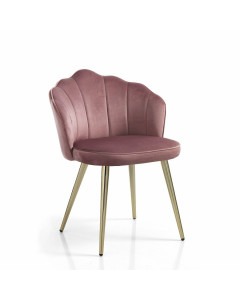 Tomasucci sedia shell pink set da 4