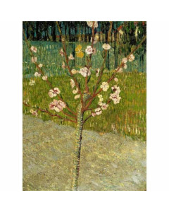 Niik quadro piccolo mandorlo in fiore di vincent van gogh